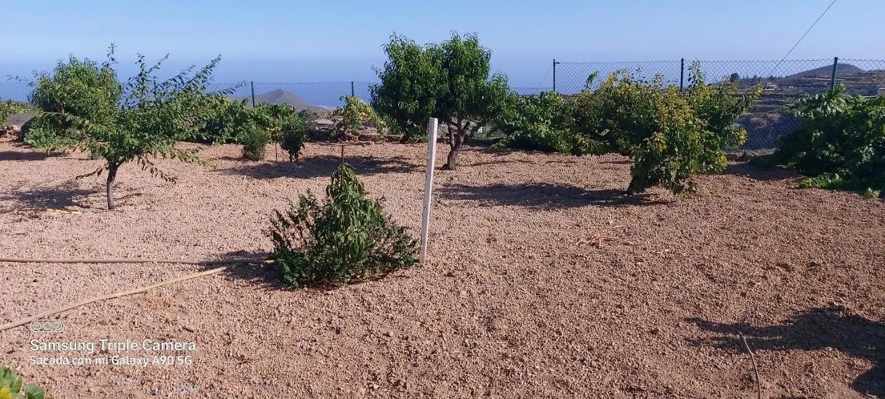 Villa Casa Luis Pico à Granadilla De Abona Chalet